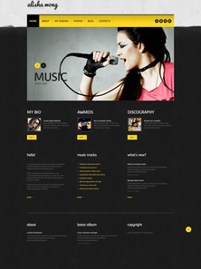 WordPress - WP2243