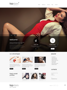 WordPress - WP2248