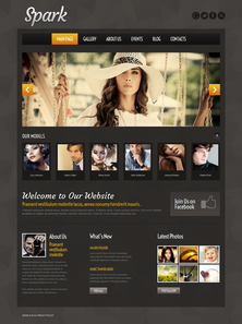 WordPress - WP2870