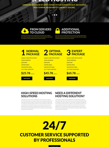 WordPress - WP2996