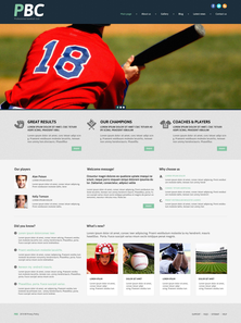 WordPress - WP3160