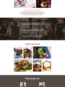 WordPress - WP3336