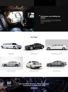 WordPress - WP3433