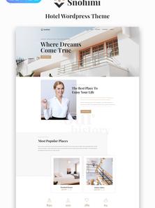 WordPress - WP3746