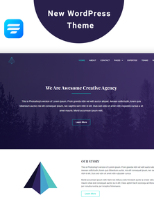 WordPress - WP18408
