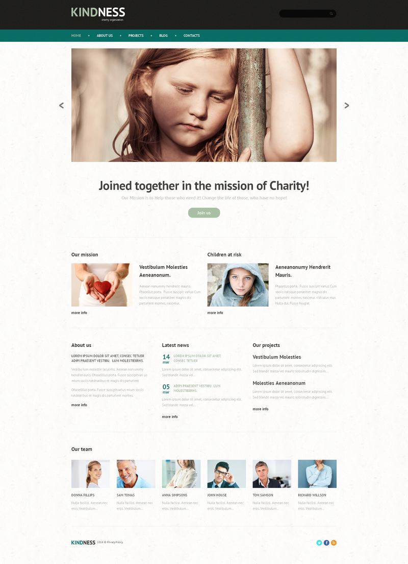 WordPress - WP2536