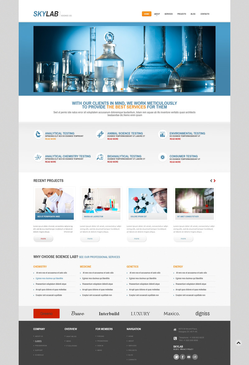 WordPress - WP2566