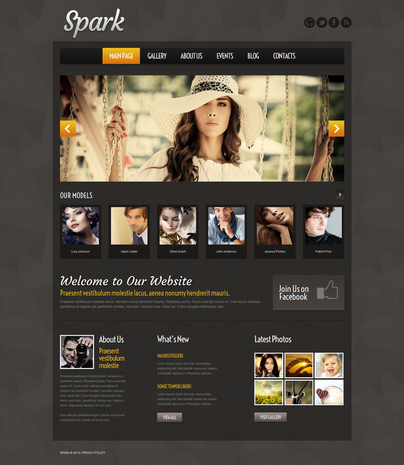 WordPress - WP2870