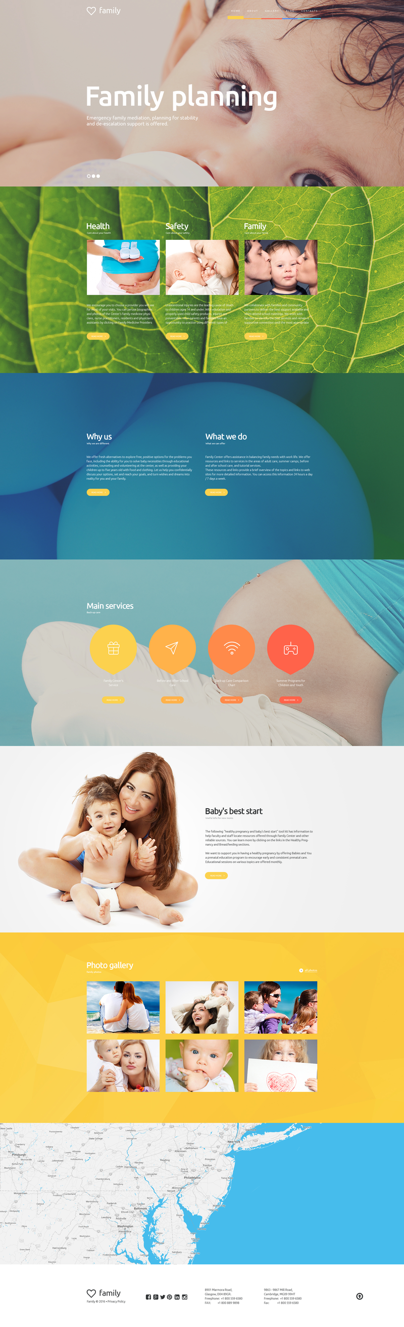 WordPress - WP3313