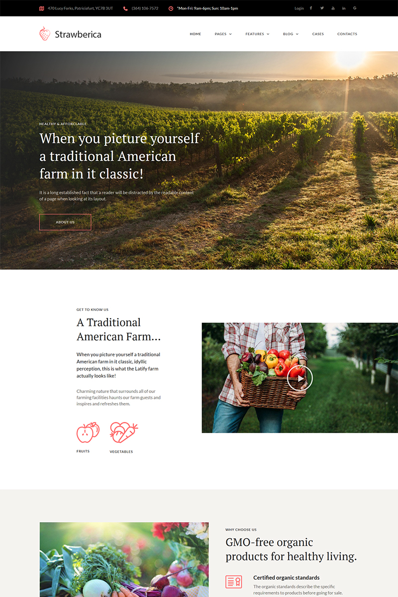 WordPress - WP4113