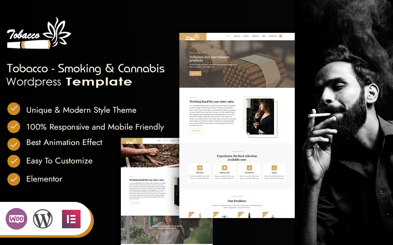 WordPress - WP18948